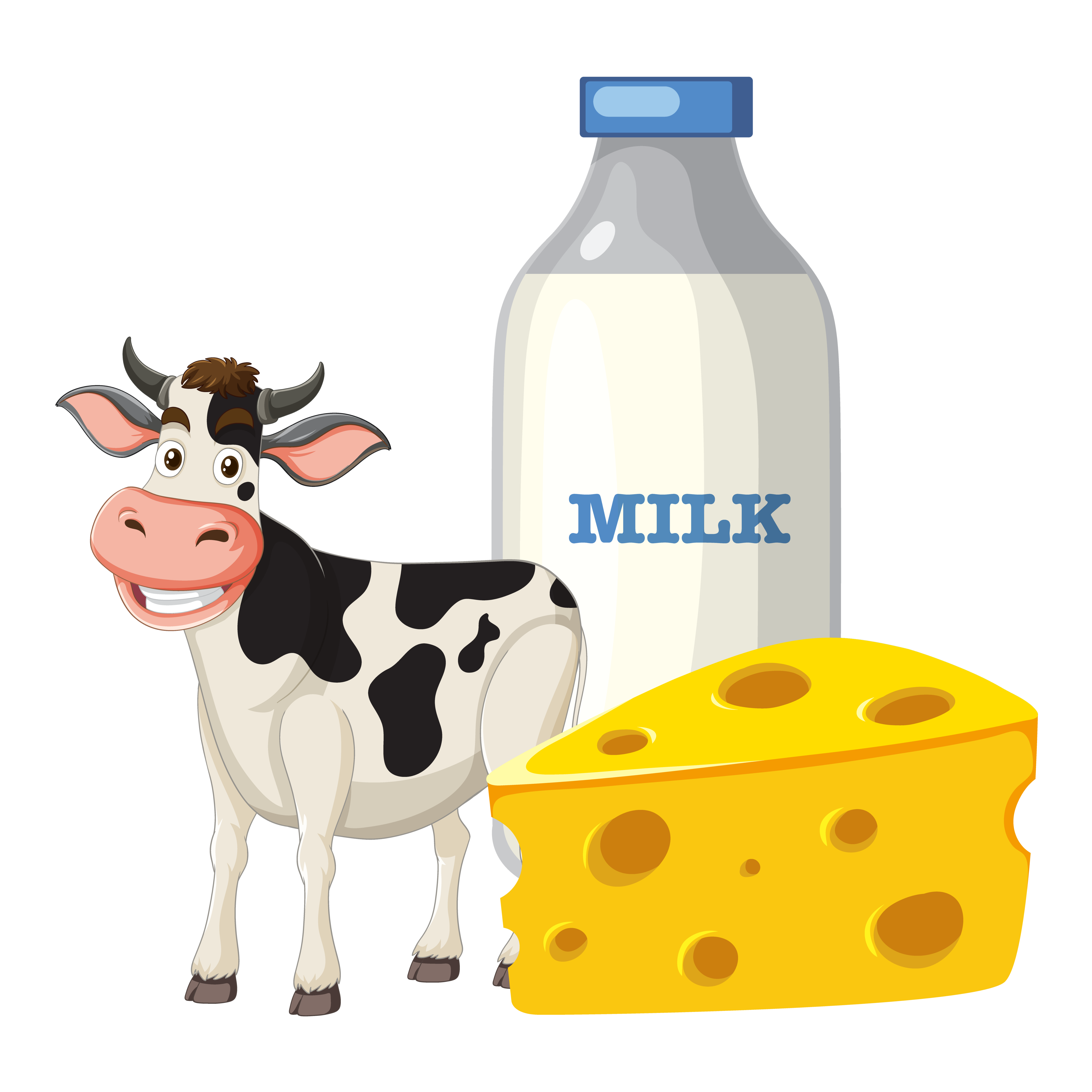 Dairy